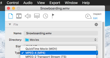 3rd party video player for mac